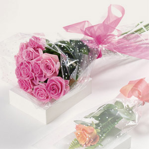 Dozen-pink-roses Image