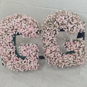 Baby Breath Letters