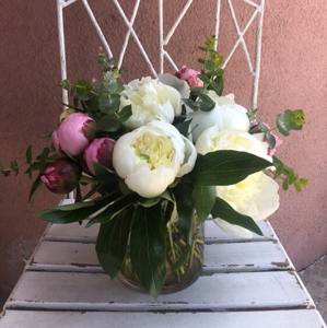 Pink And White Peonies