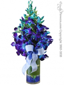 Blue Orchids Monet