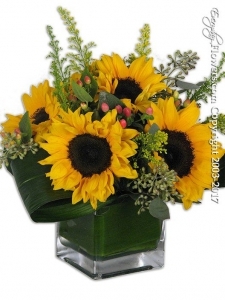 Just Sunflowers