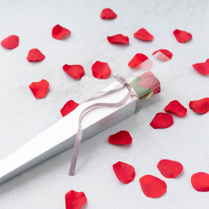 Single Red Rose