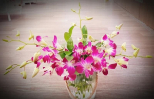 Orchids In Vase