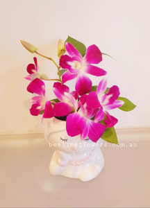 Orchids With Tiny Pot