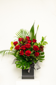 Red Roses Dozen