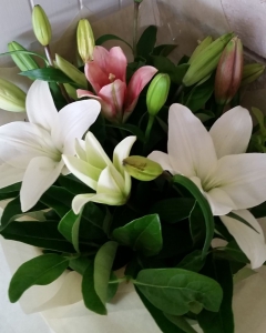 Pink And White Lilies