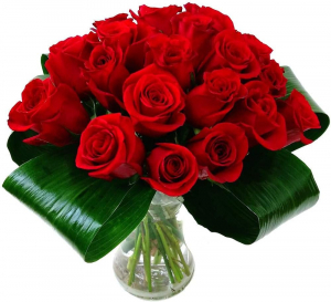 24 Ecuadorian Red Roses
