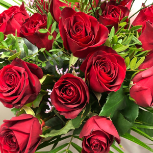 12 Red Rose Hand Tied