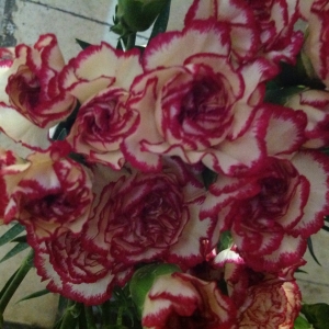 Bouquet Carnations