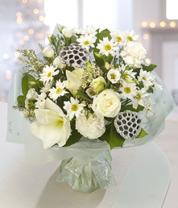 White Xmas Flowers