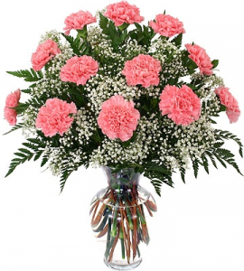 Vase Of Carnations