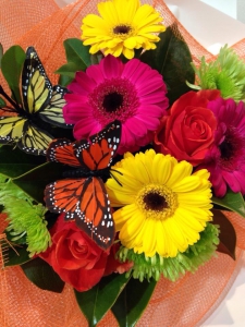 Butterfly Baby