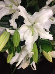 Lovely Scented Lilies