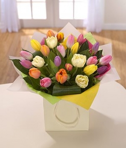 Happy Tulips