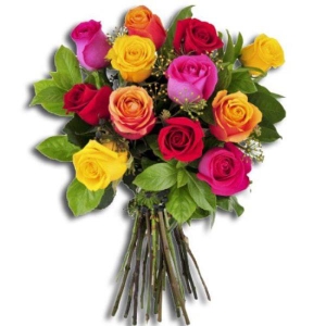 12 Mixed Color Roses