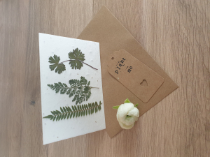 Plantable Wildflower Seed Card