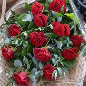Romantic 12 Red Rose Bouquet