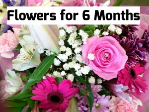 Flowers For 6 Months