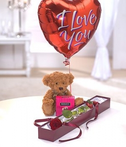 Teddy Bear Gift Set