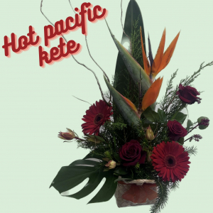 Hot pacific Kete