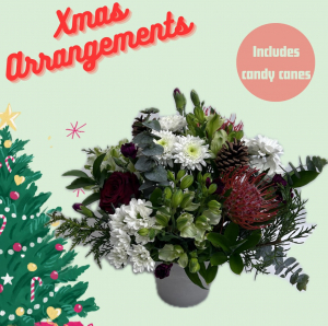 Xmas Arrangements