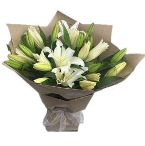 Fragrant White Lily Flora