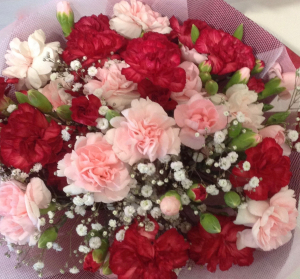 Carnations And Gypsophila