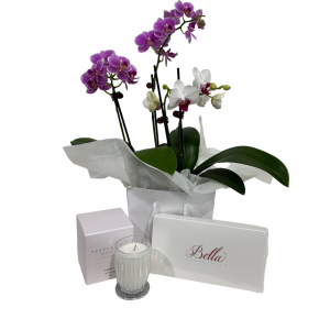 Mini Orchid Candle & Choc
