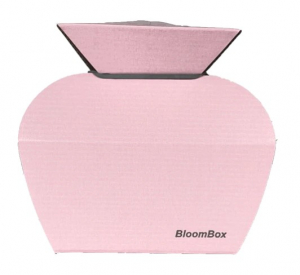 Water Box Pink