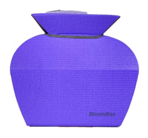 Water Box Purple
