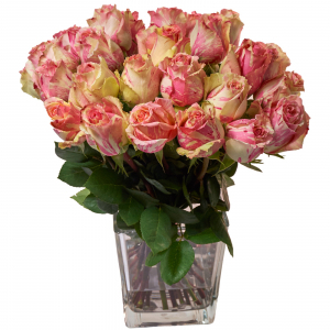 24 Pink Roses In A Vase