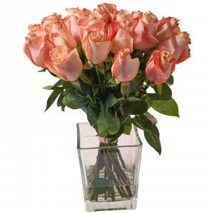 18 Salmon Roses In A Vase
