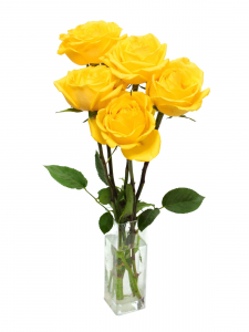5 Yellow Roses