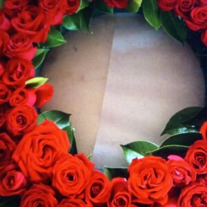 All Roses