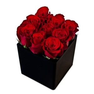 Red Roses & Cube Vase