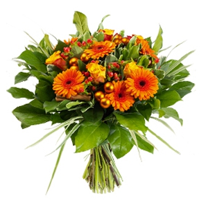 Best Wishes