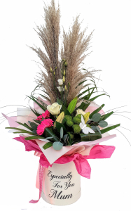 Pampas Hand-tied