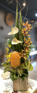 Orchids & Anthuriums