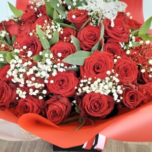 50 Luxury Red Naomi Roses