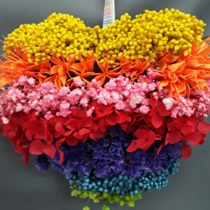 Dried Rainbow Heart