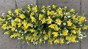 Daffodil Casket Spray