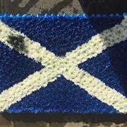 Saltire - Other Flags Ava