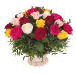 Rose Paradise