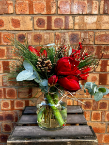 Amaryllis Gift Vase