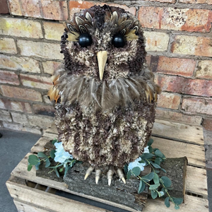 Bespoke 3D Tawny Owl
