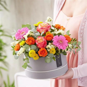 Hatbox Arrangement