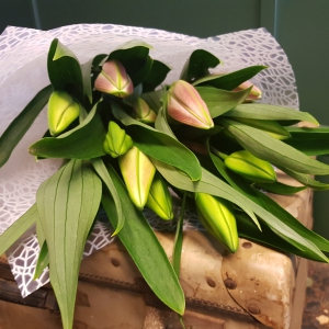 Oriental Lillies Wrapped