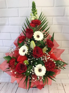 Red & White Frontal