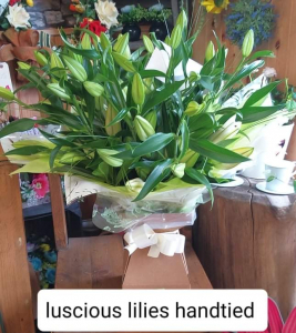 Luscious Lilies