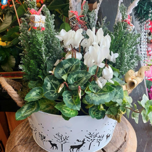 Christmas Planter